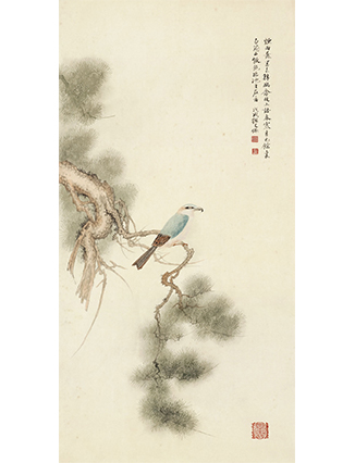 ��������